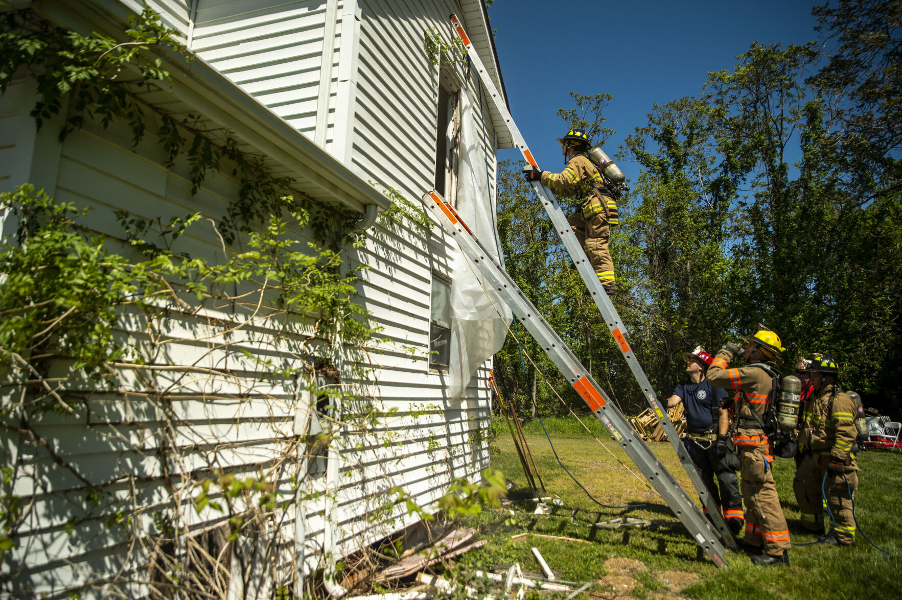 Forest VFD training